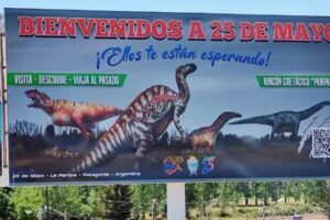 VPA Colonia 25 De Mayo (Puelen)